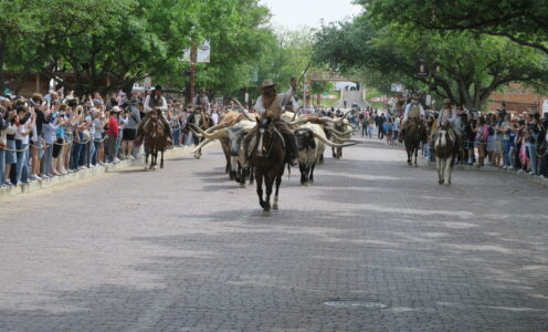 Tage in Dallas Teil 2