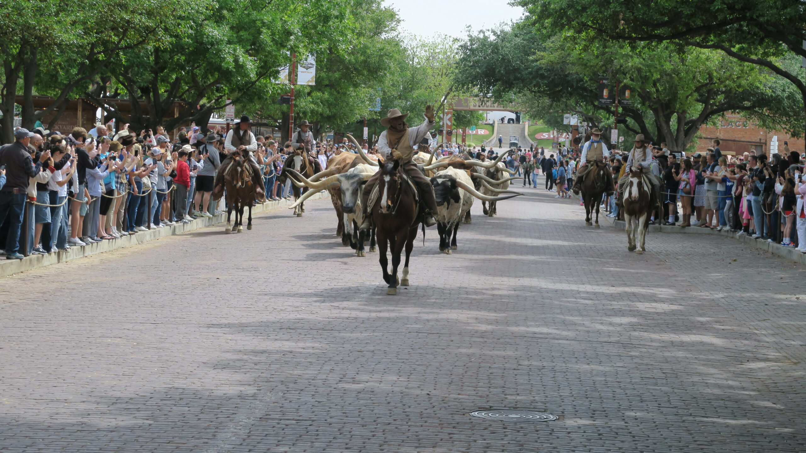 Tage in Dallas Teil 2