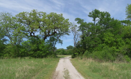 Tage in Dallas Teil 1