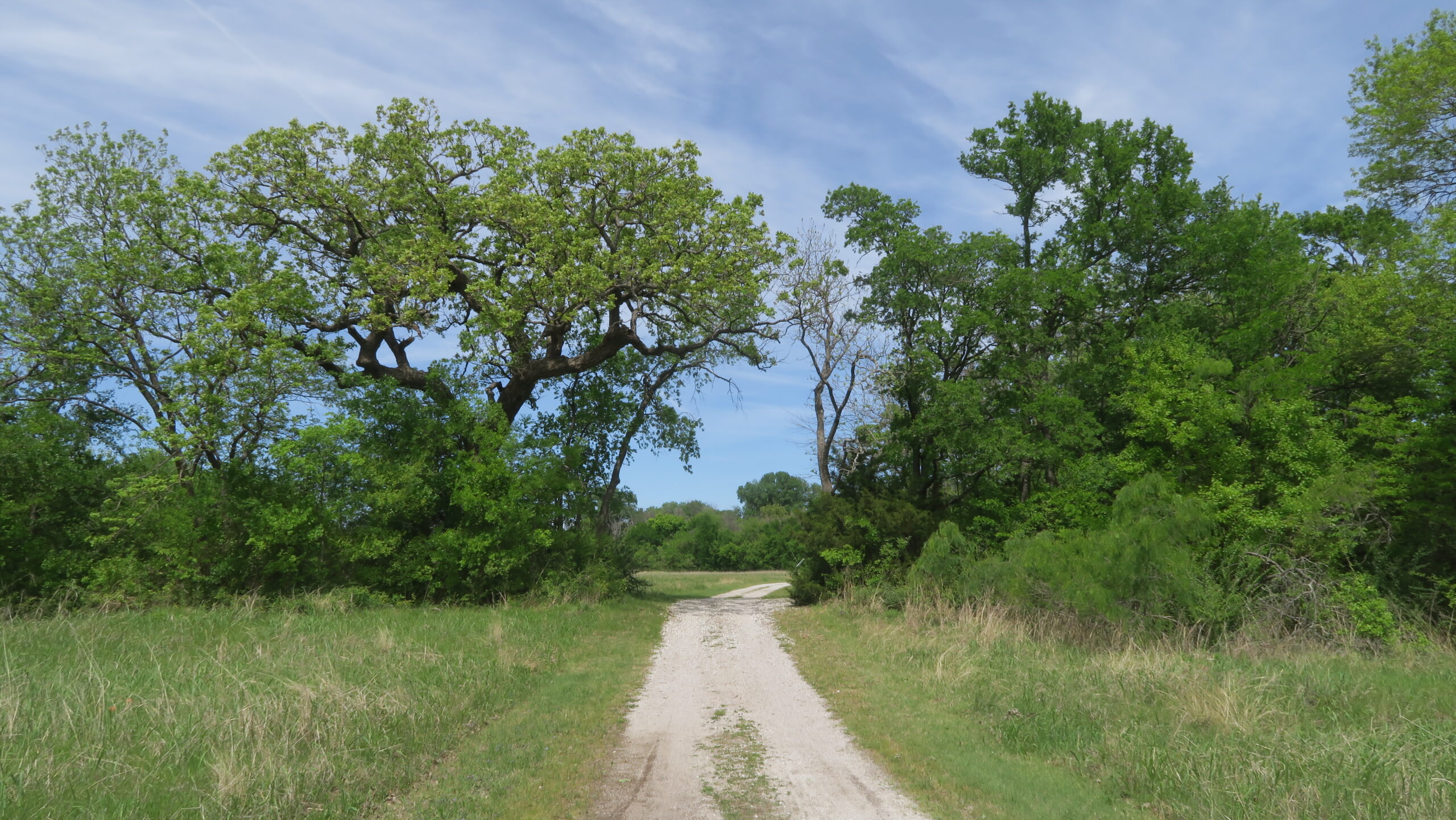 Tage in Dallas Teil 1