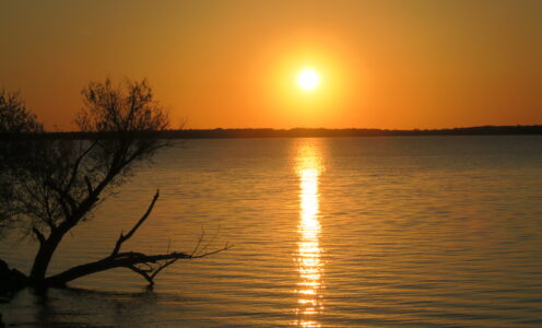 Tage in Dallas Teil 3