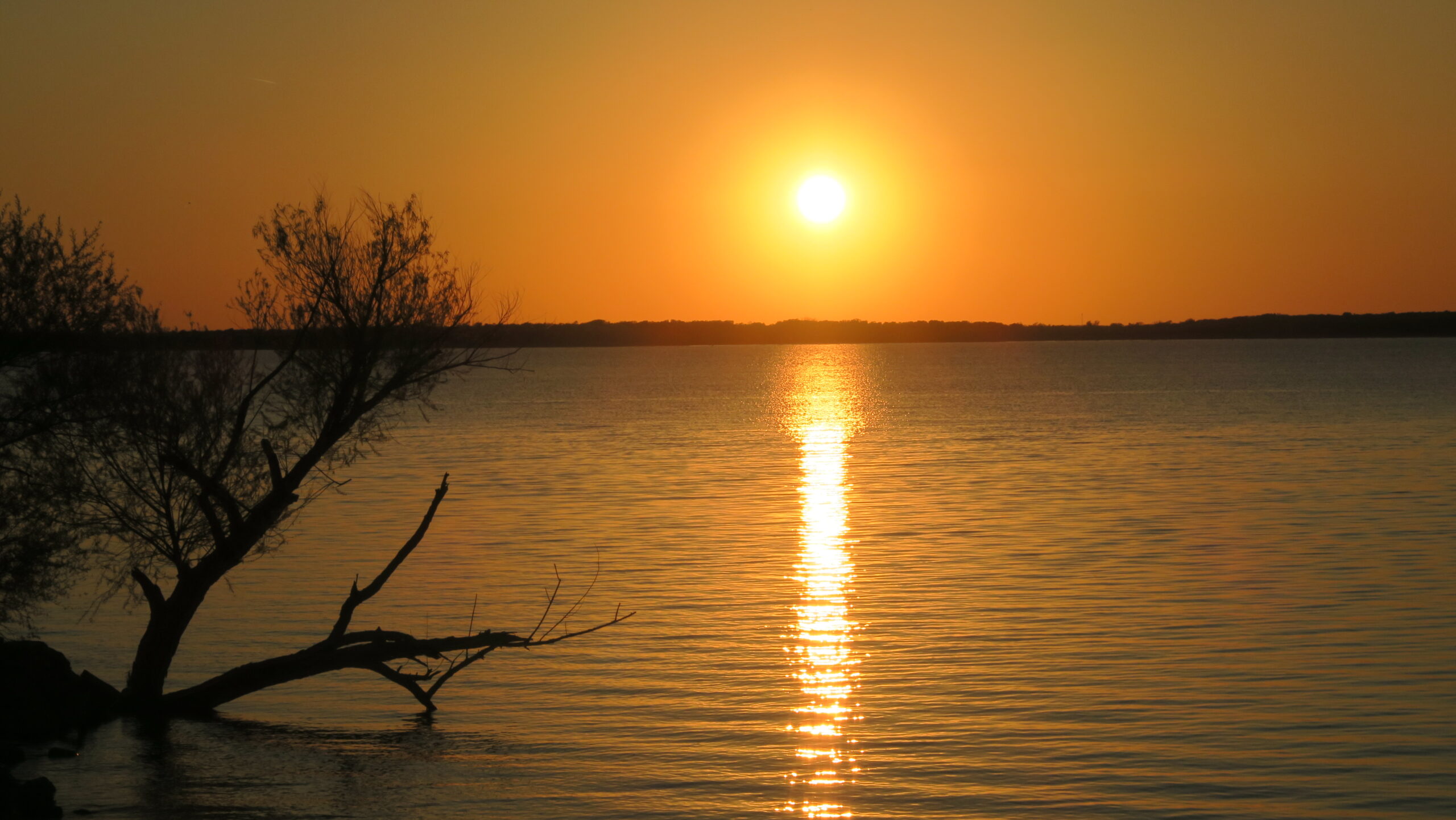 Tage in Dallas Teil 3