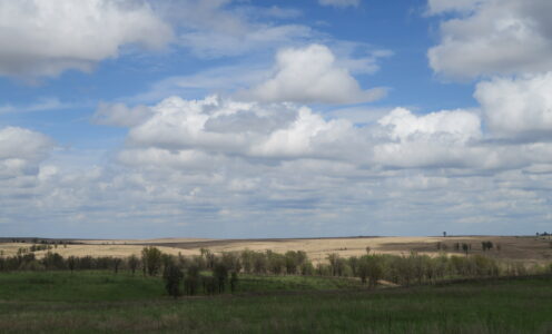 Weiter zum Osage County