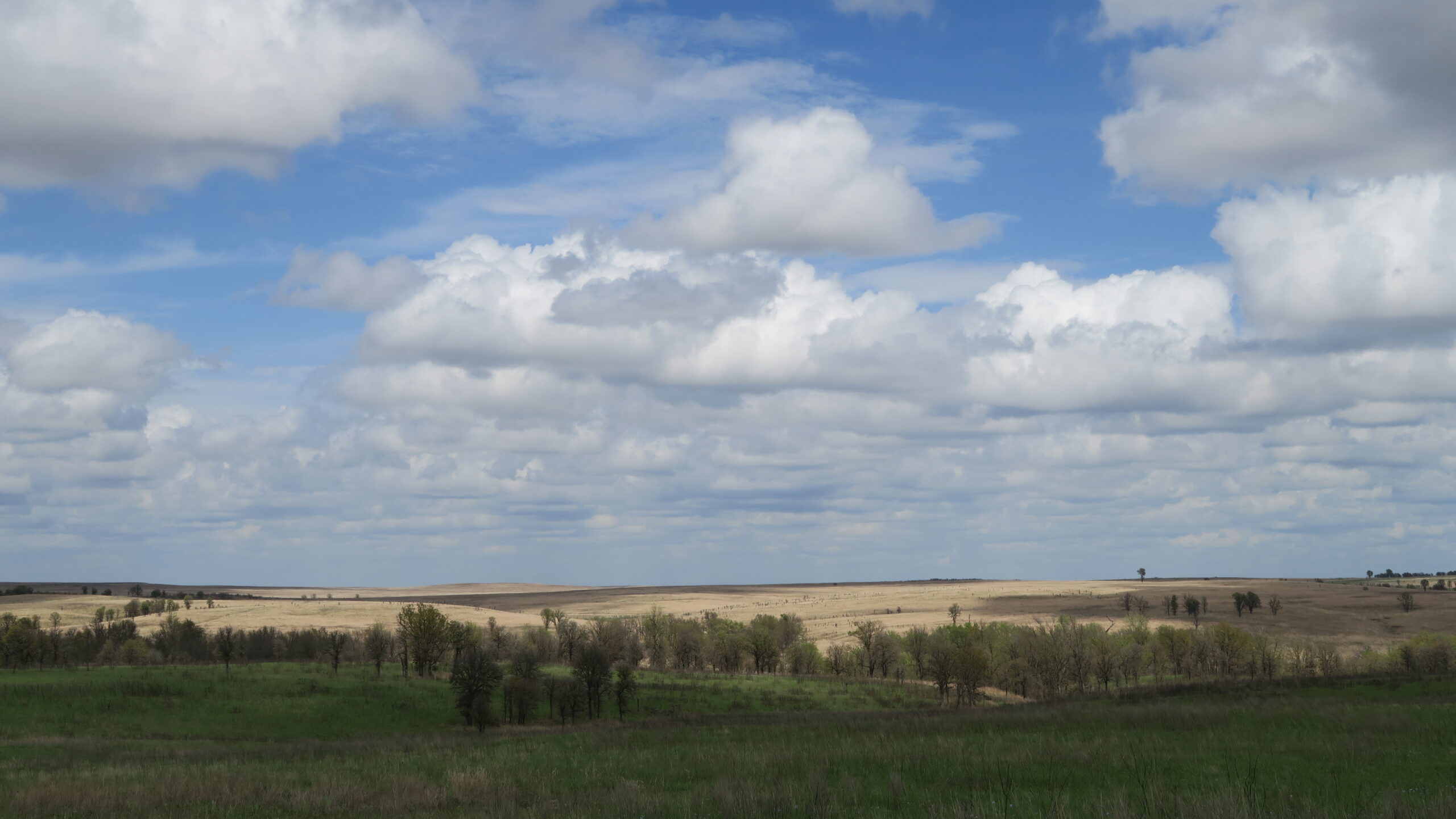 Weiter zum Osage County