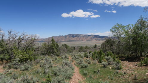 Wandern im Rock Canyon